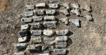 סוכל ניסיון להבריח נשקים סמוך לגשר אדם בבקעת הירדן