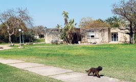 תם הסכסוך סביב קיבוץ-האון: המדינה תזרים 96 מיליון שקל לטובת פיתוח