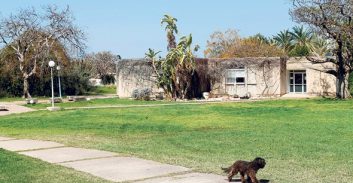 תם הסכסוך סביב קיבוץ-האון: המדינה תזרים 96 מיליון שקל לטובת פיתוח