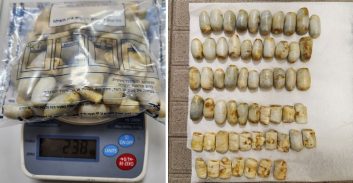 נעצר באופקים על חמישה גרם קריסטל ופלט 77 זרגי קוקאין