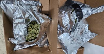 אלו שוטר מג"ב וחמישה נוספים שנעצרו בתיק בהחזקת 350 ק"ג מריחואנה