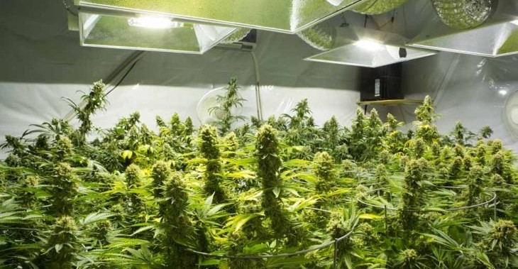 אינדקס עורכי דין פוסטה