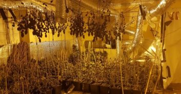 העונש לסוחר סמים מבת-ים ששבעת חבריו נרצחו במסיבת הנובה