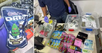 מצבורי סמים נתפסו ביפו ובת-ים במבצע חיפושים לקראת הסילבסטר