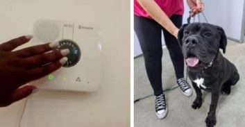 מחקר: כל נרצחת אלימות במשפחה עולה למדינה 8.2 מיליון שקל