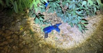 סמוך לכביש איילון: כלי נשק, תחמושת לרובים וחומר נפץ תקני