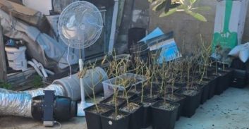 מידע מתוך הכלא: יחידת שב"ס ובלשים חשפו מעבדת סמים בכפר יונה