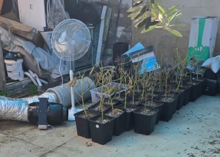 קנאביס כפר יונה יחידת דרור שב"ס