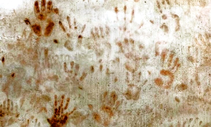 התעללות בשותף לדירה