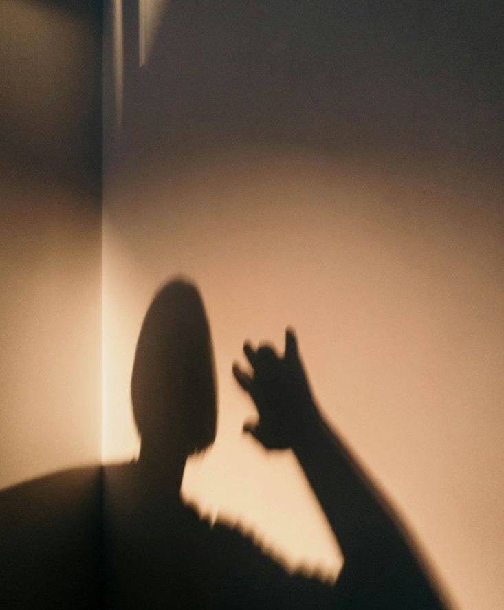 פדופיל מפוקח מין