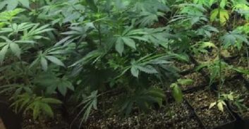 שחרור למעצר בית לנאשם בהקמת מעבדת סמים בשלושה מבנים באשקלון