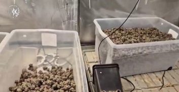 צפו: וילת אירועים במושבה מגדל הפכה ל"מפעל" לייצור קנאביס