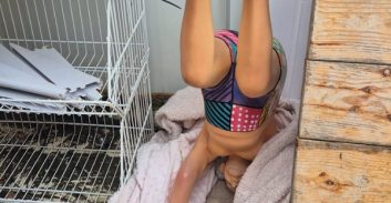 בן 23 חשוד בגניבת פסל של דוד בן-גוריון מבית מלון בתל-אביב