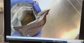 תיעוד: צעיר מלוד ייבא 12 ק"ג זרעי קנאביס באריזות קפה