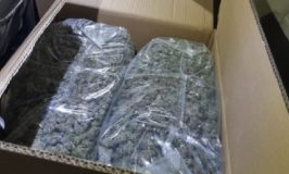 תושב פתח-תקווה נתפס עם 4 ק"ג קנאביס, חשיש ואבקה לבנה