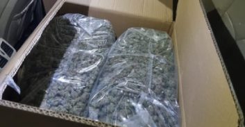 נשר: נעצר עם 1.5 ק"ג חומר החשוד כקנאביס וכ-100 אלף שקל