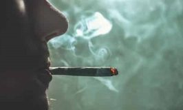 תיק של חייל בקבע: עשרות שימושים בקנאביס ופטריות נגמר באי הרשעה