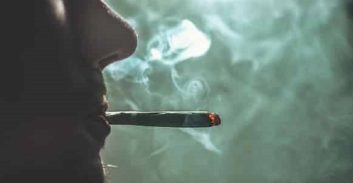 העונש לרס"ר מטבח בצה"ל שהשתמש בקנאביס בזמן השירות