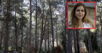 ועדה-מחוזית ירושלים אישרה לגרוע שטחי יערות כדי לאפשר הרחבת שכונות בבית-שמש