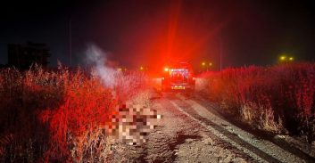 רצח אכזרי: עורך דין לשעבר נורה בחורשה סמוך לג’לג׳וליה וגופתו הוצתה