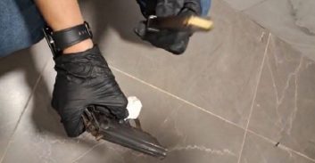 מוכר למשטרה מאילת נעצר בחשד להחזקת אקדח