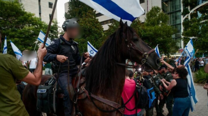 פרש משטרה הרשעה בתקיפה מפגינים 