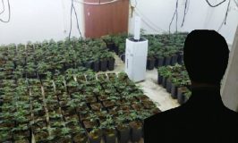 חשד: תושב בני ברק גידל 120 ק"ג קנאביס במושב בשרון