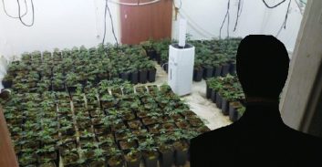 פרסום ראשון: אסיר עולם לשעבר גידל 108 ק"ג קנאביס בפתח תקווה