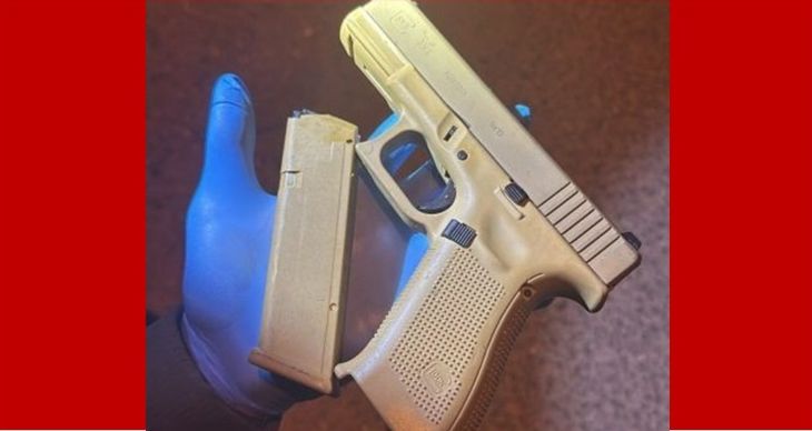 אקדח ארכיון להמחשה