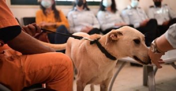 שחרור מוקדם לחייל מילואים שגנב כלי נשק בעת שירותו במלחמה