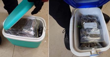 שלושה עצורים בחשד להפצת כמויות גדולות של מריחואנה וקוקאין בשכונות הכרמל