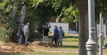 מי אוכף את פקודת היערות? פקח אחד עבד לבדו במשך שלוש שנים