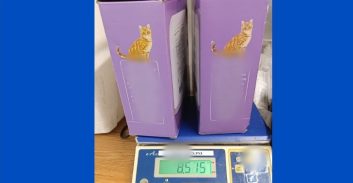 נתב"ג: נעצר בחשד שניסה להבריח 8 ק"ג קטמין בתור "מצע לחתולים"