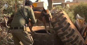 צפו: הורדת מצלמות ותפיסת מחסניות ותחמושת בגזרת שפרעם ואעבלין
