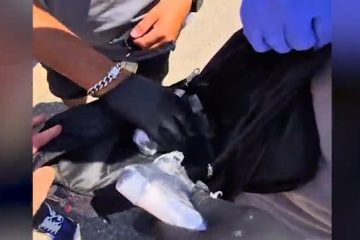 העונש לנהג-מונית שהוביל אקדחים מהדרום לאזור המשולש תמורת 3,000 שקל