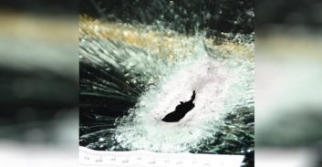 בימ"ש העליון: עונשו של נהג מילוט בתיק "ריסוס" רכב מטווח קצר