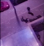 יבנה: הסדר טיעון לשלושה צעירים על חלקם בתקיפה אלימה מצולמת