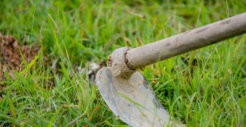העונש לקשיש בן 80 שתקף את אחייניו עם טורייה