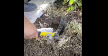 צפו בסרטון: פריטי אמל"ח הוחבאו בתוך קבר בבית עלמין בצפון