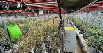 צפו: 150 ק"ג קנאביס במעבדה שהוקמה במבנה בן ארבע קומות בפתח-תקווה