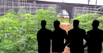 בעלי חברות קנאביס רפואי נעצרו בחשד למכירת שני טון לארגוני פשע