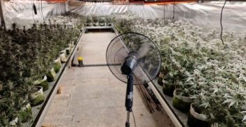 הלום קרב מהלחימה בעזה נעצר בחשד להפעלת מעבדת קנאביס באור יהודה