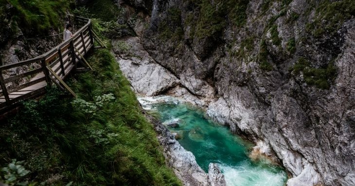 אוסטריה נדל"ן תביעה
