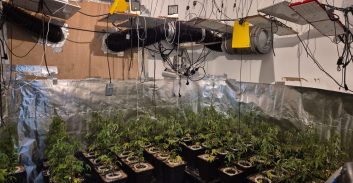 מעצר בעלה של יועצת השרה מאי גולן החשוד בסחר בסמים