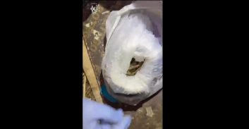 צפו: 160 כדורי תחמושת בקופסת מזון תינוקות באום אל-פאחם