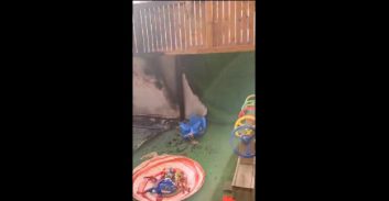 עיתונאי במקומון חשוד בהצתת גן ילדים בראשון לציון