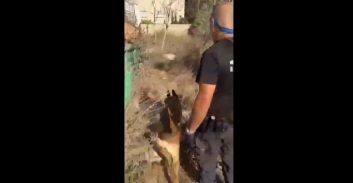 צפו: שבעה קילוגרם אקסטזי נתפסו בשכונת פרדס שניר בלוד