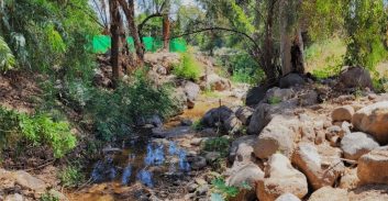 רשות מקרקעי ישראל הקצתה שלושה מיליון שקל לשיקום נחל רקת בכינרת