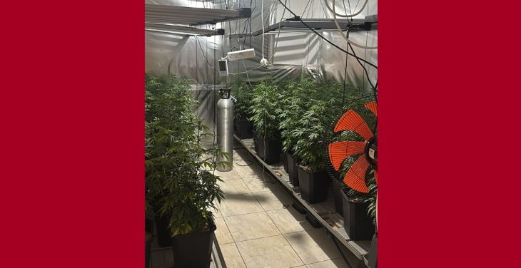 מעבדה סמים נחשפה קצרין