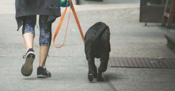 נהריה: עונש ללא הרשעה למנהלת בכירה שתקפה באלימות את שכנתה